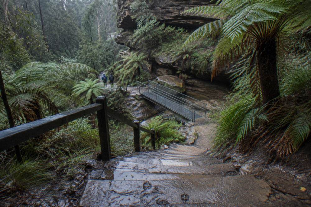 Stone steps descending through fern gully toward a narrow bridge on a bushwalking track