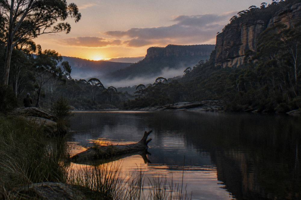 Mist settling over forested sandstone valleys in the Blue Mountains at dusk