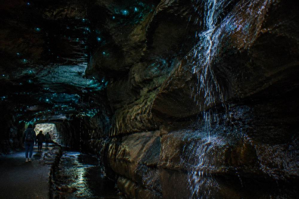 Glow worm lights scattered across the dark ceiling of a wet cave