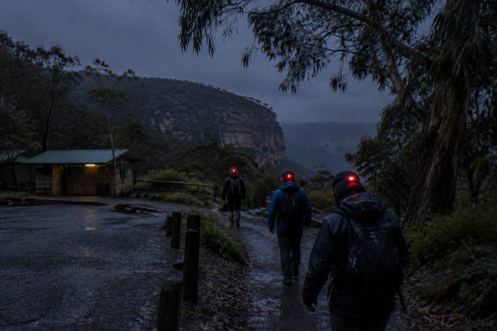 A guide and a small group walking a dark bush track with red headlamps