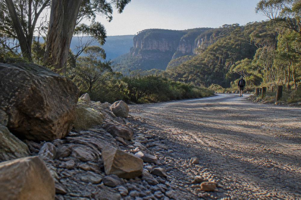 Gravel forest road curving through dense bushland with scattered loose stone on the surface