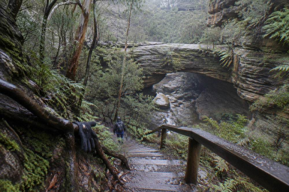 A bushwalking track descending stone steps toward a rock bridge in a shaded gorge
