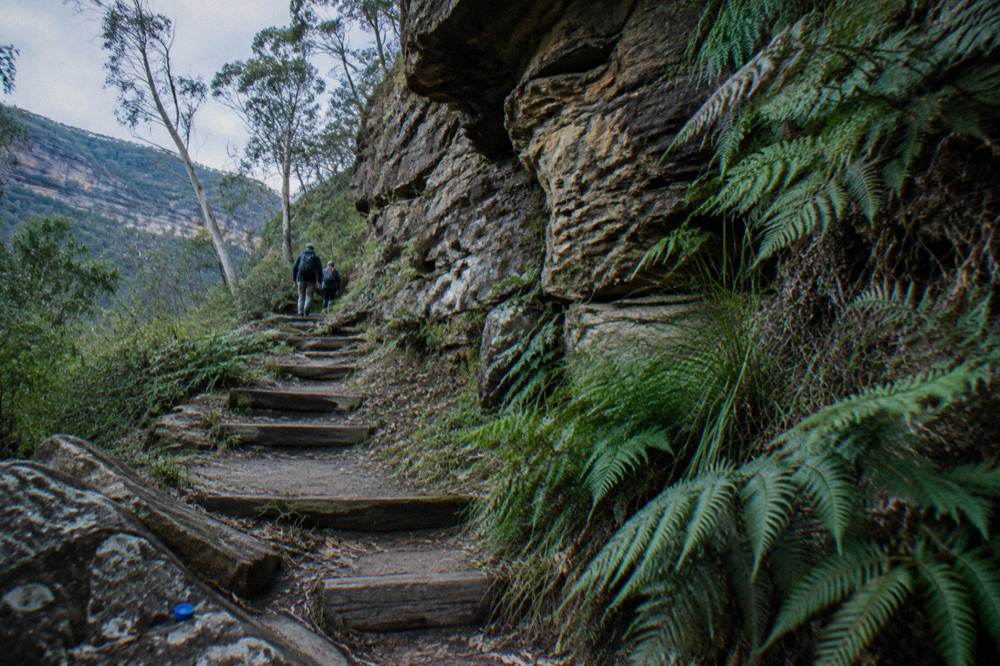 A narrow bush track descending beside a sandstone cliff face with timber steps cut into the hillside
