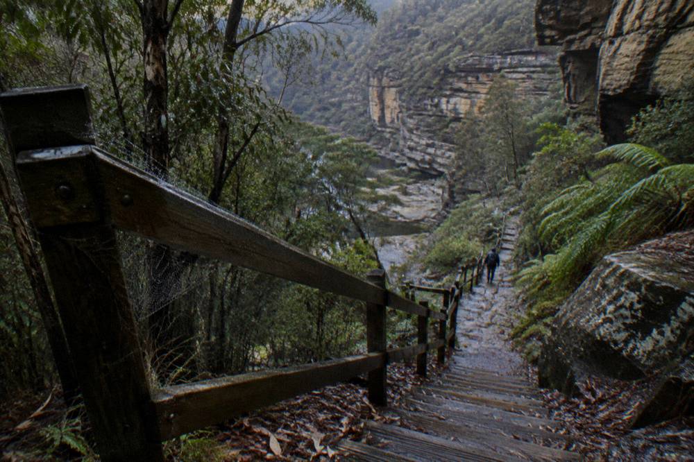 A narrow timber stairway with stone steps descending through shaded bushland