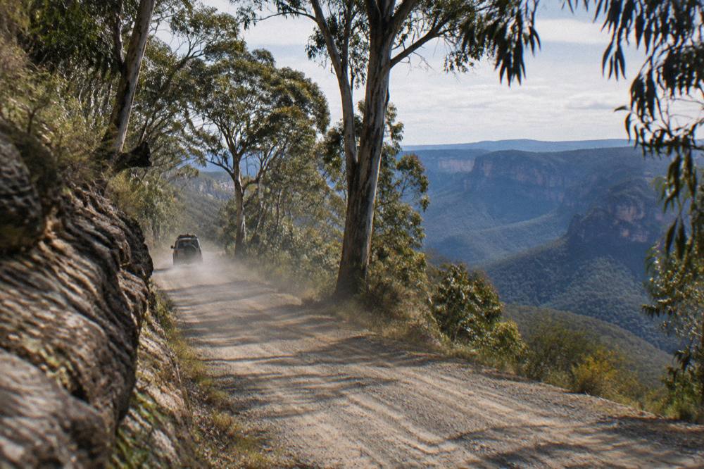 An unsealed gravel forest road winding through tall eucalyptus trees