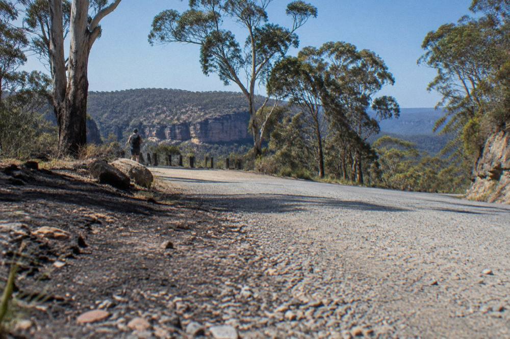 A narrow gravel road curving through open eucalypt forest on the Newnes Plateau