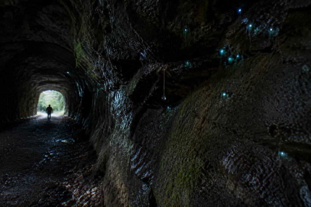 Glow of small blue-green lights along the curved wall of a dark tunnel