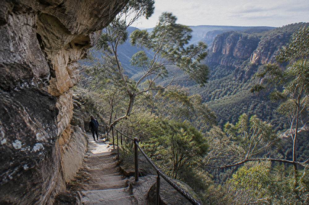 Narrow stone steps descending through bushland beside a sandstone cliff