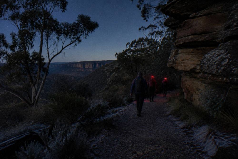Small group of walkers with headlamps following a guide along a dark bush track at night