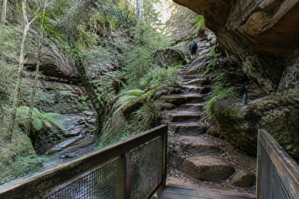 Narrow stone steps descending through a rocky gorge toward a small footbridge
