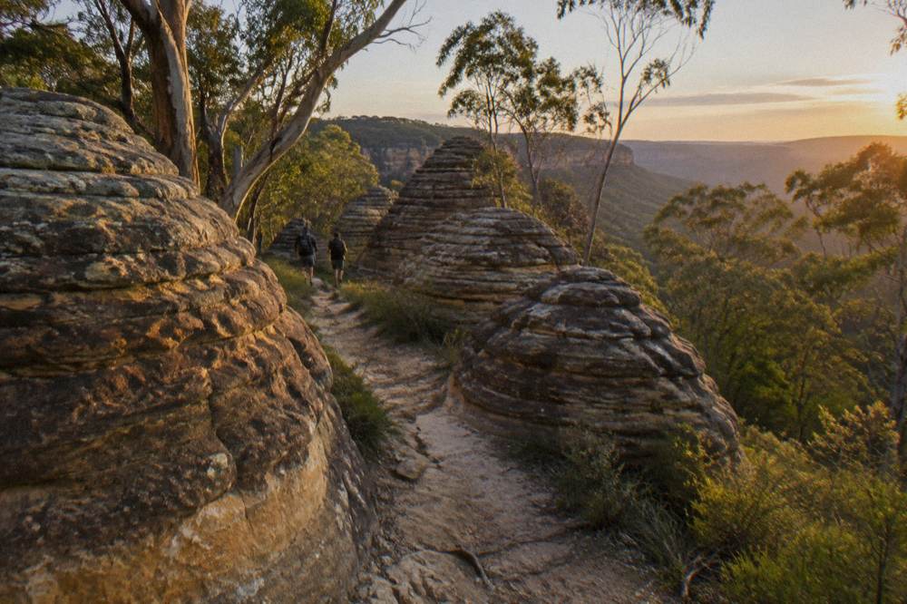 Weathered sandstone pagoda rock formations in open forest on a walking track