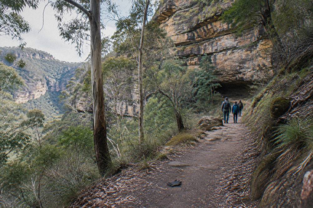A family walking track winding through a dry eucalypt forest toward a sandstone cliff line