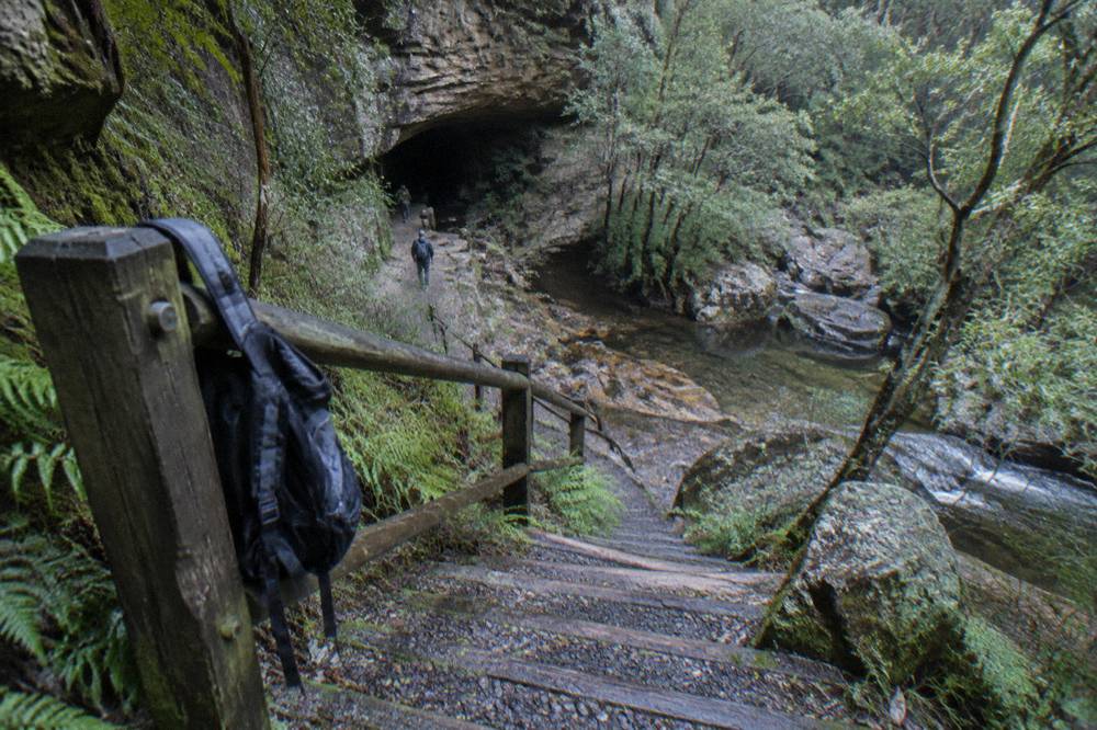 Steep timber steps cut into a hillside beside a rocky creek in a shaded gorge