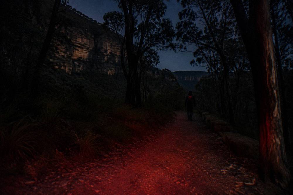 A walking track at night lit softly by a red headlamp beam on the ground