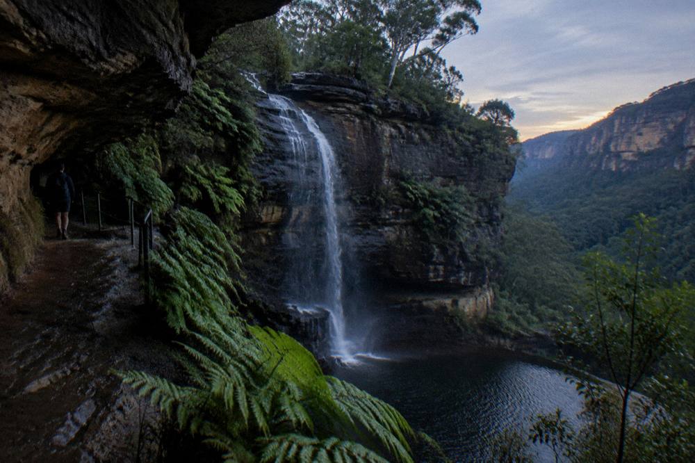 A waterfall dropping over a dark sandstone cliff in a forested Blue Mountains canyon