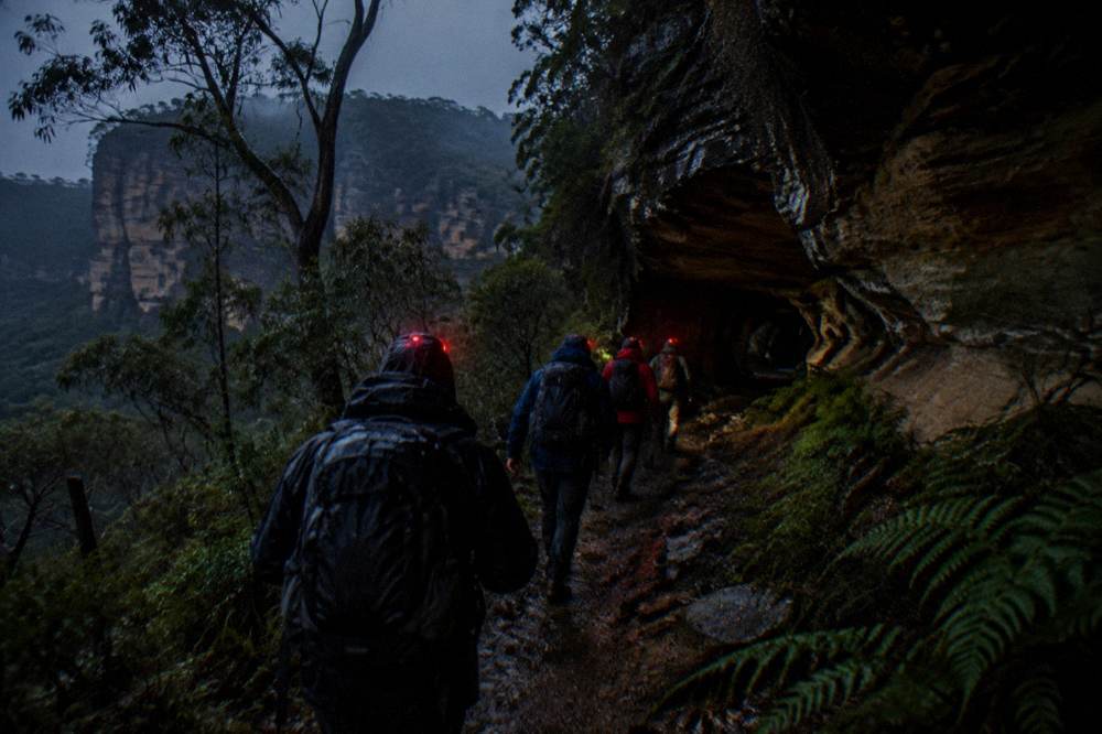 A small group of walkers with headlamps following a guide along a bush track at night