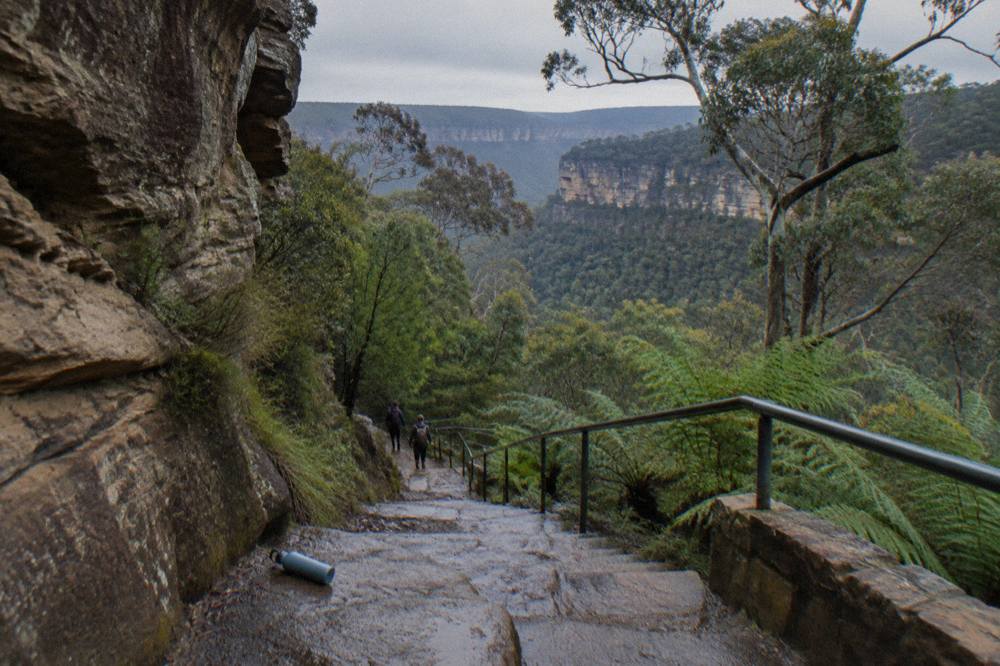 A walking track descending through sandstone cliffs into a green rainforest gully