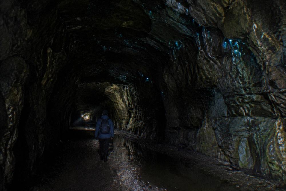 Glow worm blue-green lights scattered across a dark tunnel ceiling and walls