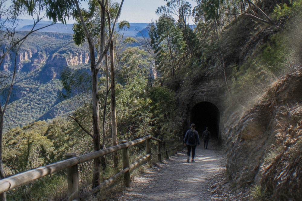 Narrow gravel forest track descending toward a dark tunnel doorway