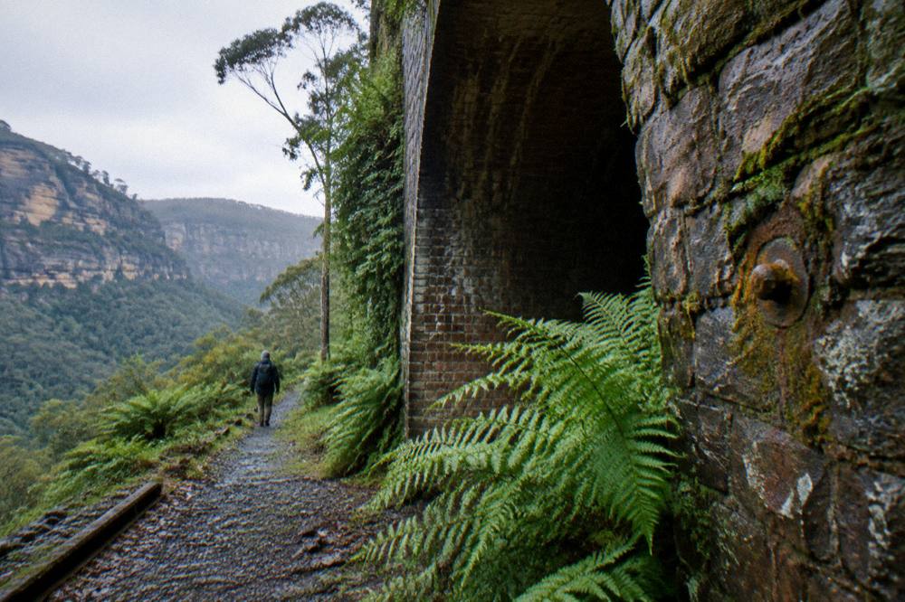 Mossy stone arch of an old mining railway tunnel in rainforest gorge