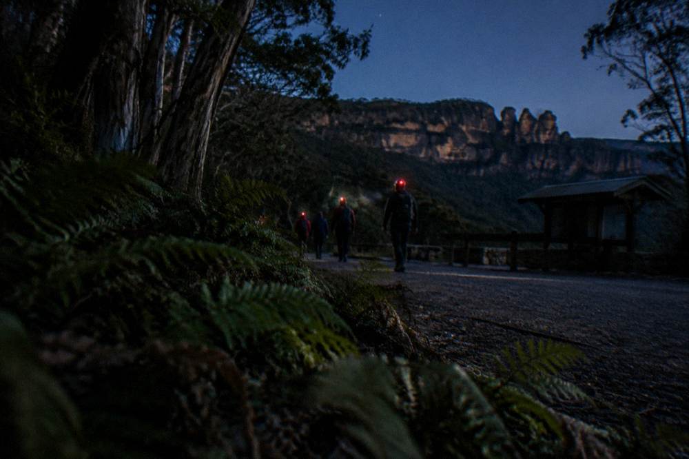 Small group of hikers with red headlamps walking a dark bush track at night