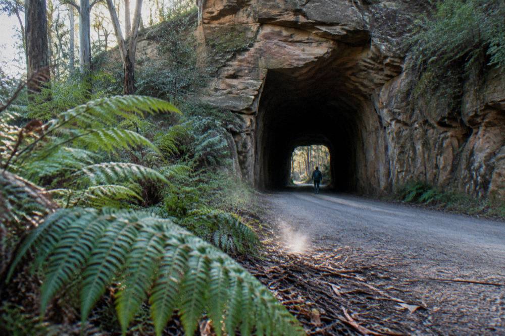 Narrow single-lane railway tunnel entrance on a gravel road in forest
