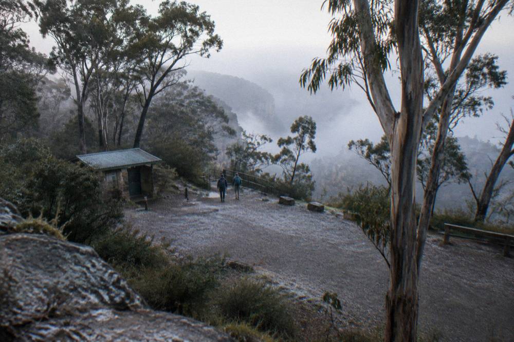 A small gravel carpark clearing surrounded by tall eucalypts at the end of a forest road