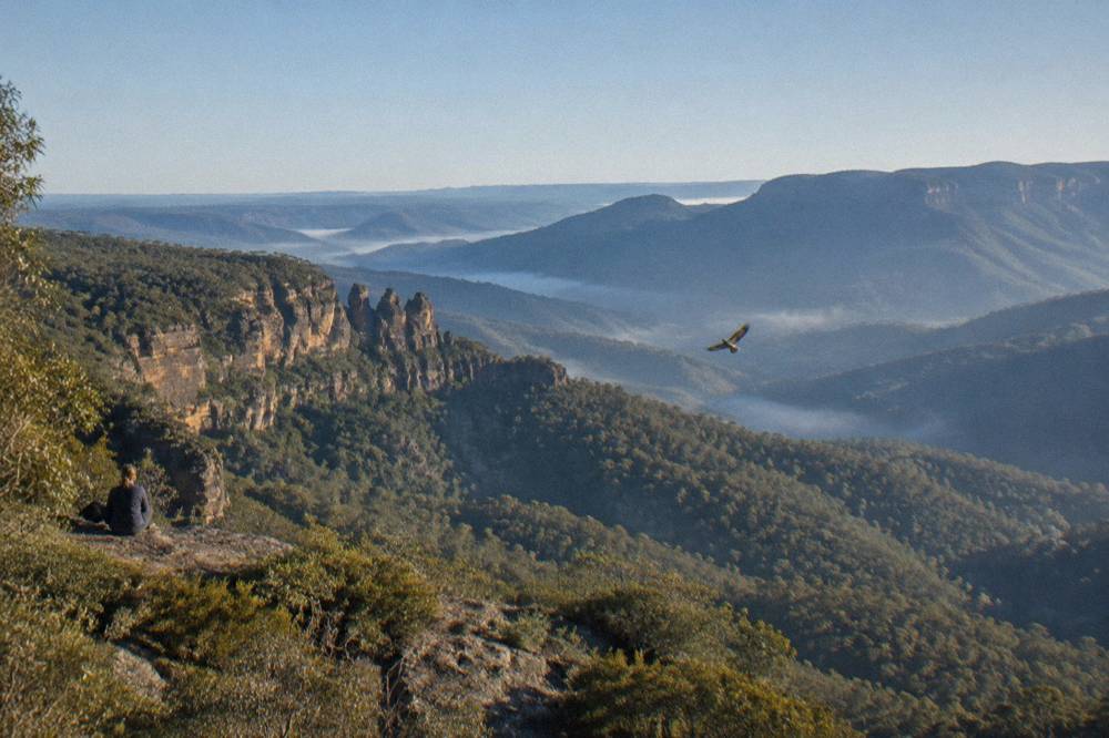 A wide valley view of forested ridges under a clear sky in the Blue Mountains
