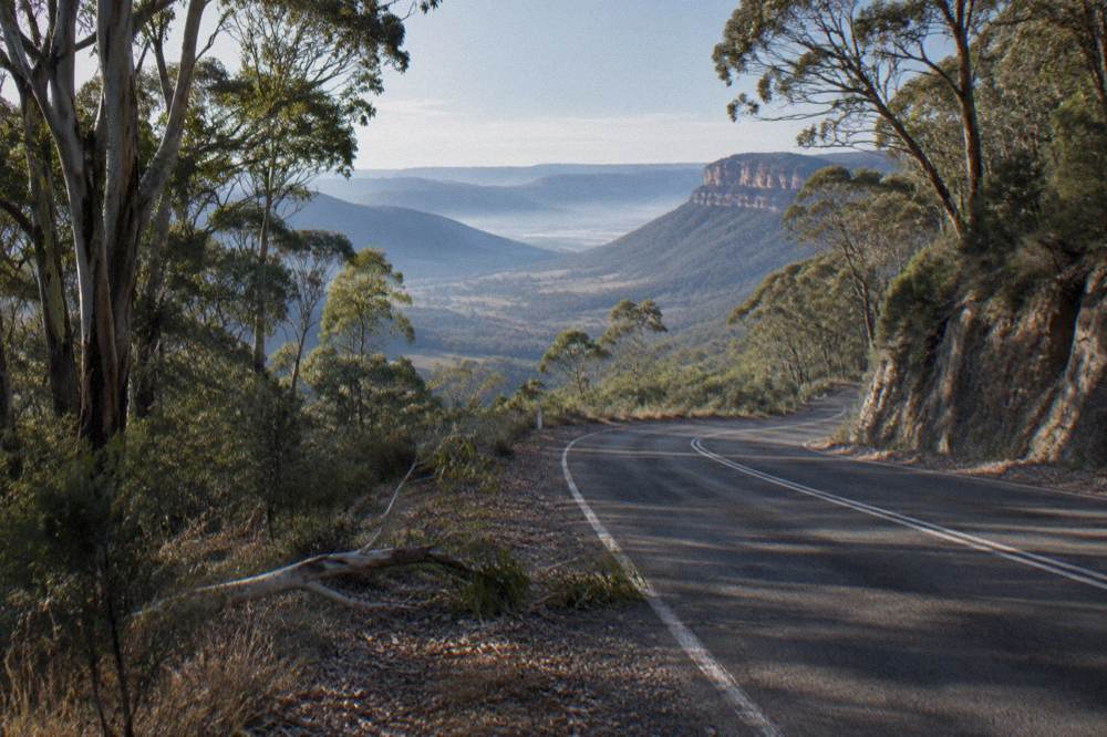 A mountain road winding through eucalyptus forest toward a valley