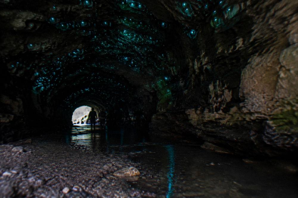 Glow worm lights scattered across a dark cave ceiling above a stream