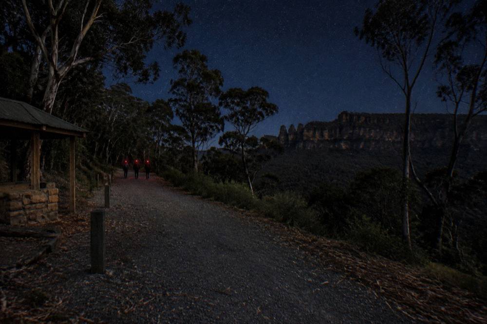 Small guided walking group on a bush track at night using red headlamps