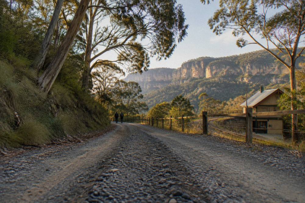 A gravel forest road with tyre tracks leading toward sandstone cliffs in late afternoon light