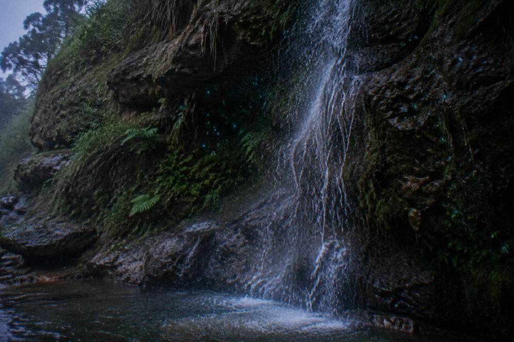 Blue-green points of light clustered on a wet dark cave wall above a thin waterfall