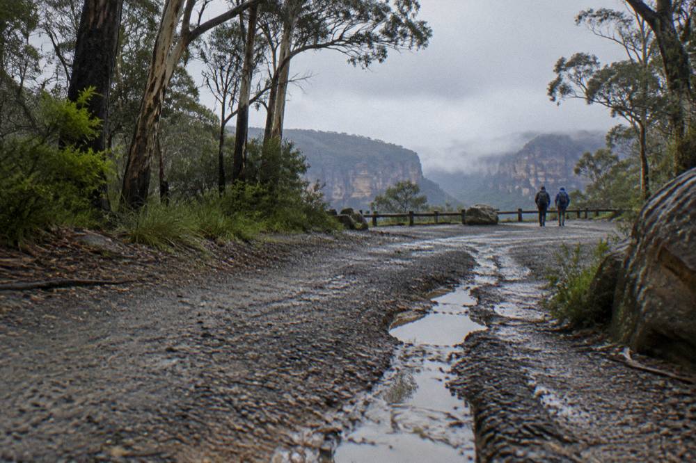 A narrow gravel road with puddles and erosion grooves running through dense forest
