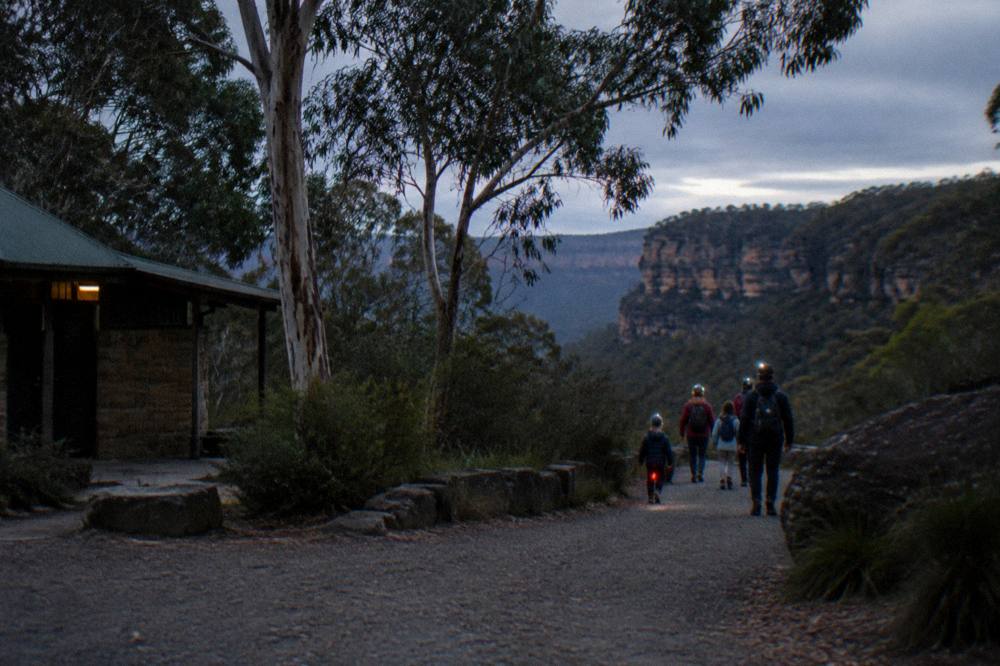 A family sized group walking a bush track with headlamps at dusk under tall eucalypts