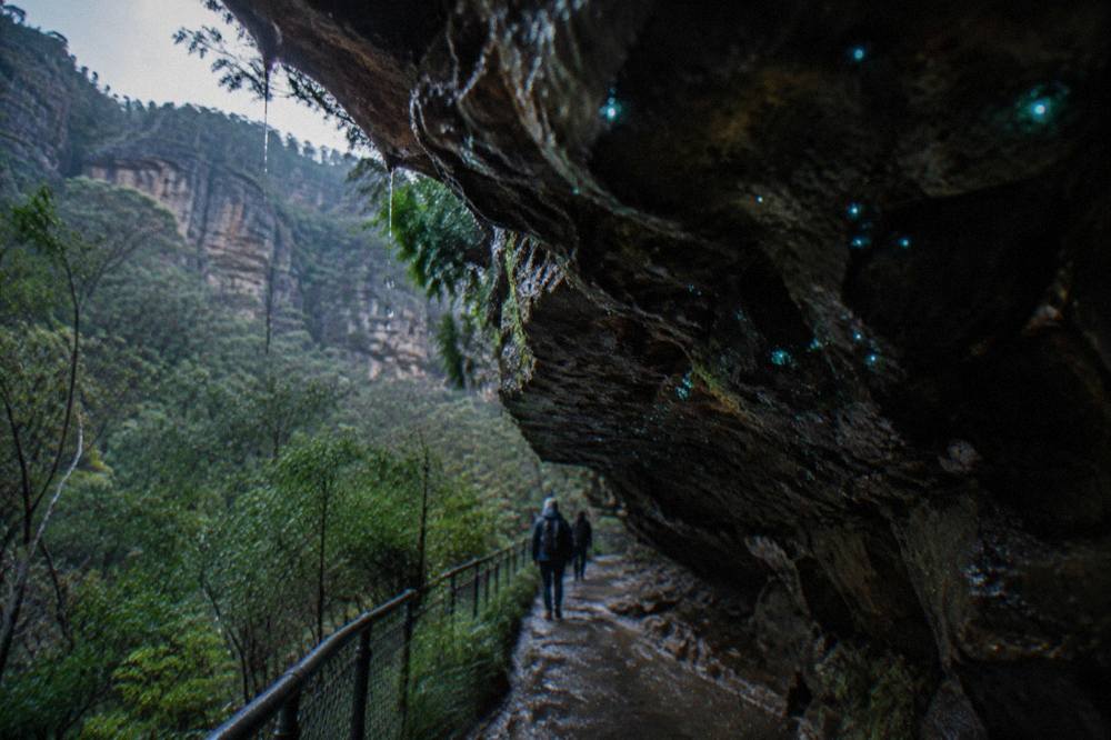 Close view of a damp sandstone overhang at night dotted with small blue-green points of light.