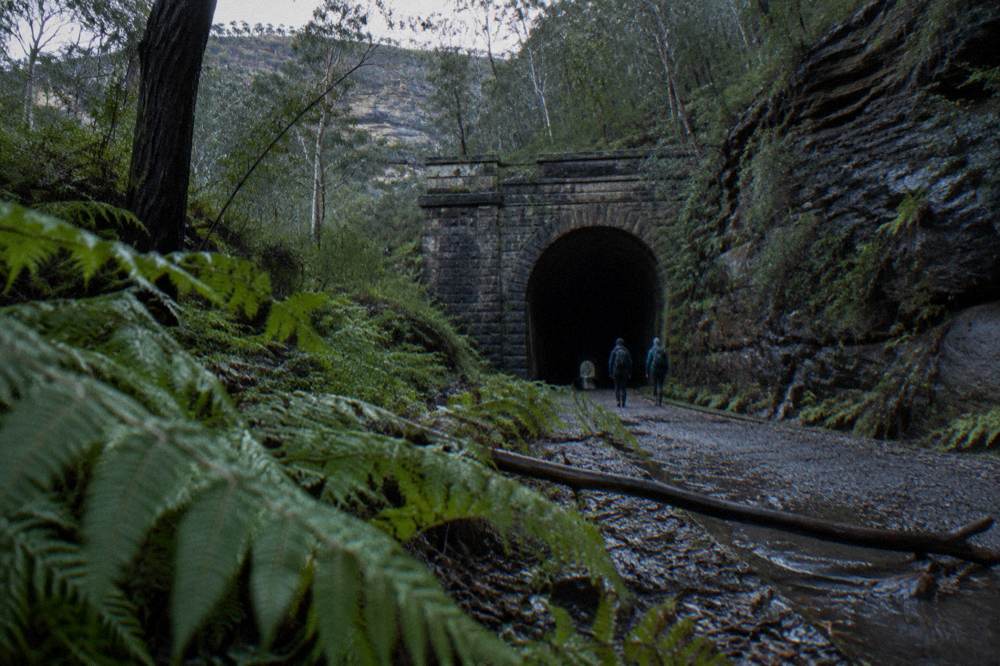 The dark arched entrance of a long abandoned railway tunnel surrounded by wet sandstone bushland.
