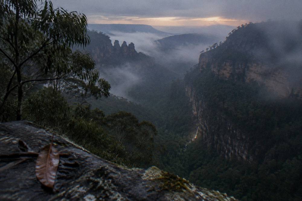 Mist settling over a dark rainforest gully at dusk with a faint glow along a wet rock face.