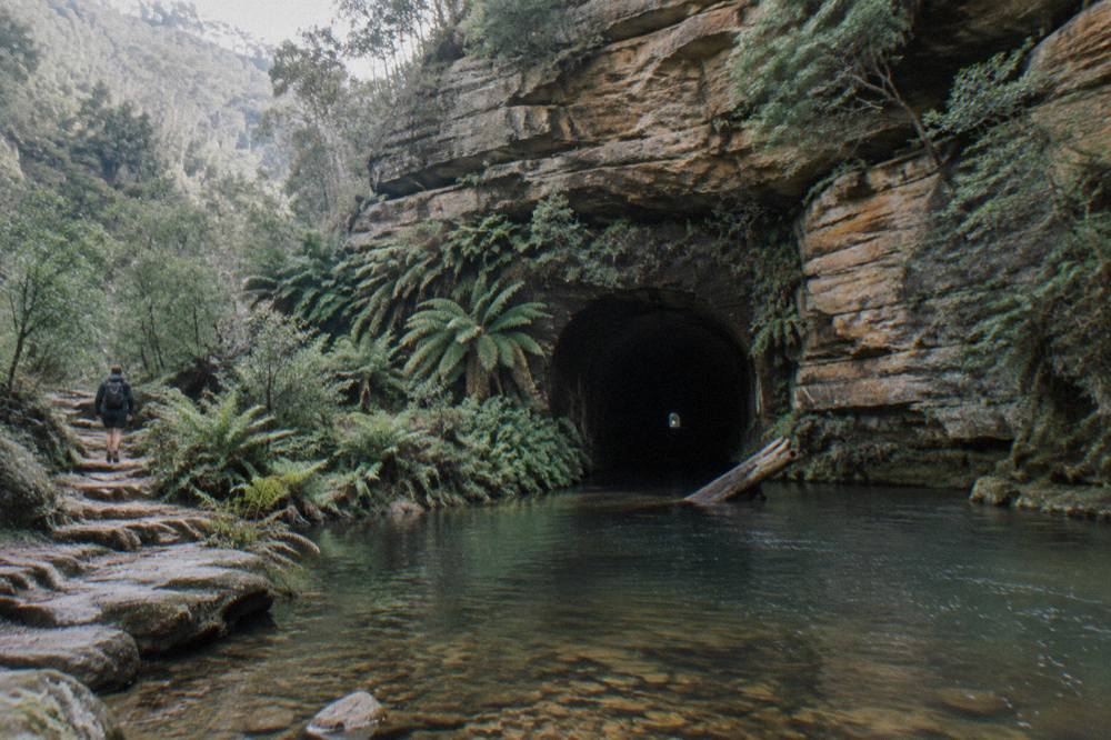 A dark abandoned railway tunnel entrance surrounded by sandstone cliffs and green ferns in a forested gorge
