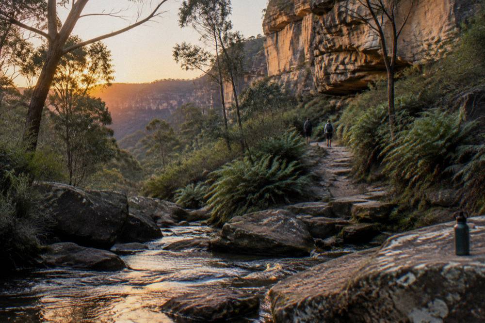 A deep sandstone canyon with ferns and a walking track beside a creek in the Blue Mountains at dusk