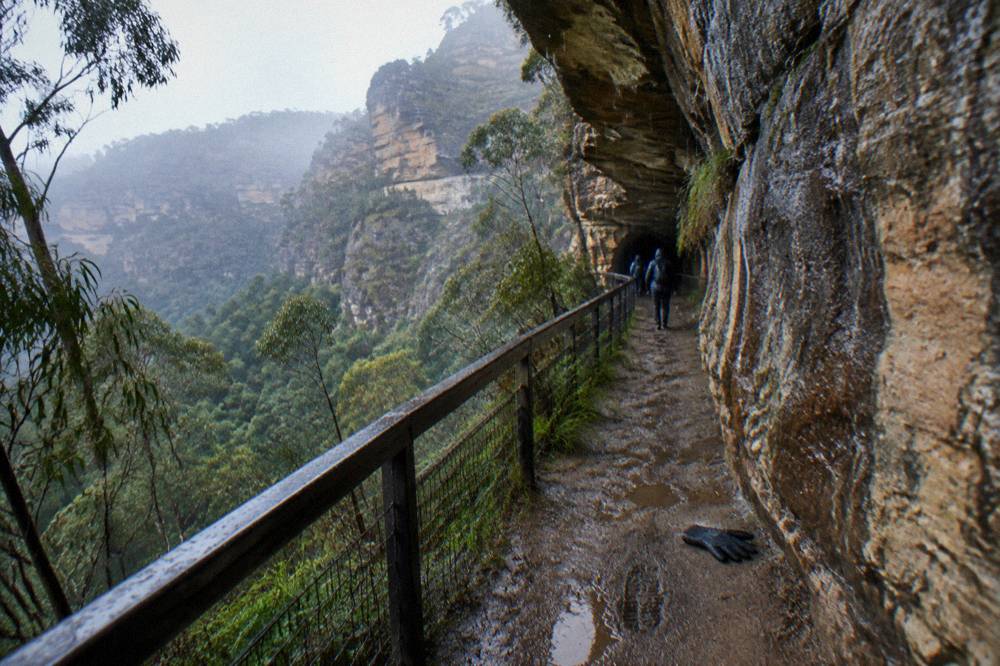 Narrow walking track beside a sandstone cliff in Wollemi National Park