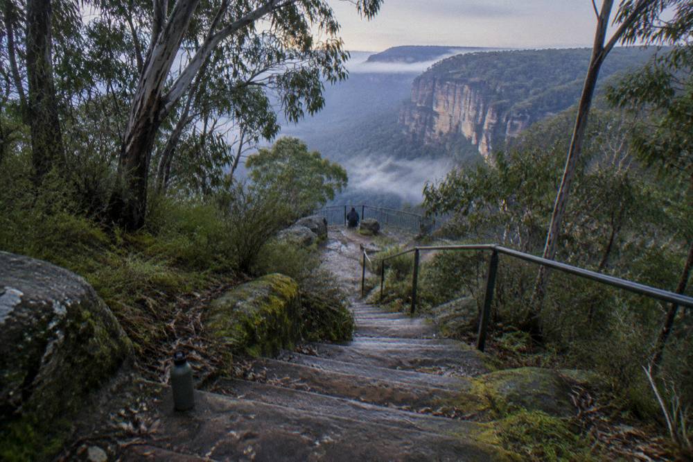 Walking track descending stone steps through shaded forest toward a canyon